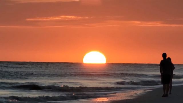 The Sunset accompanied by It's Over by Ty Segall смотреть онлайн
