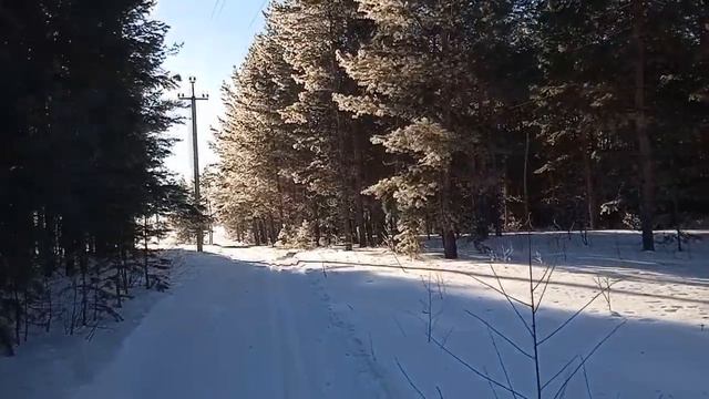 Кубанские ходоки в стране Нагайбакии смотреть онлайн