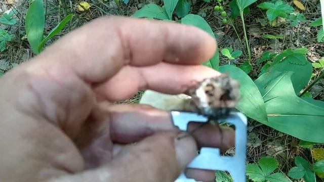 поездка на мотоцикле урал смотреть онлайн