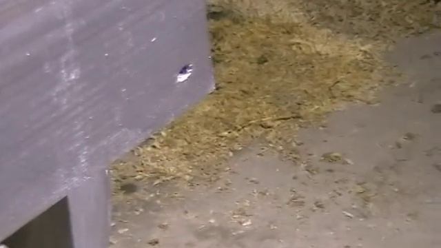 Строительный Рейтинг