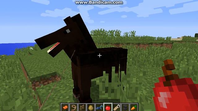 Как приручить лошадь в майнкрафт смотреть онлайн