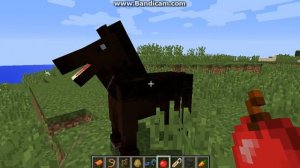 Как приручить лошадь в майнкрафт