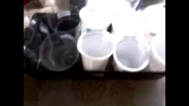 Готовлюсь к посевной Стаканы для рассады смотреть онлайн