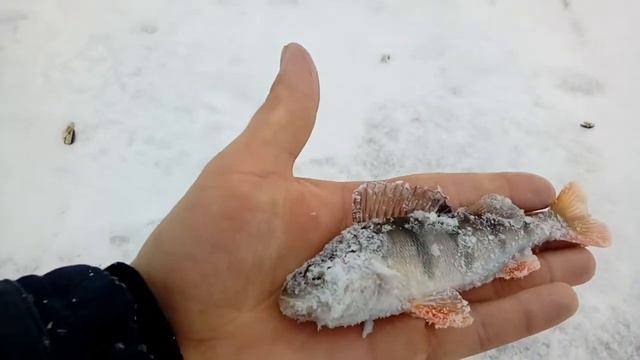 Зимняя рыбалка на пруду. смотреть онлайн