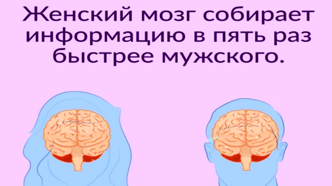 Психология Когнитивных Функций Мозга смотреть онлайн