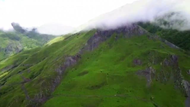 Нохчийчоь. Хаза эшар.