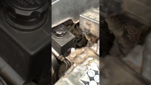 SsangYong Reston 2 2.7 xvt расположение номера двигателя смотреть онлайн