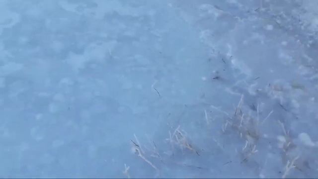 Заливаем каток в Казахстане день-3 смотреть онлайн