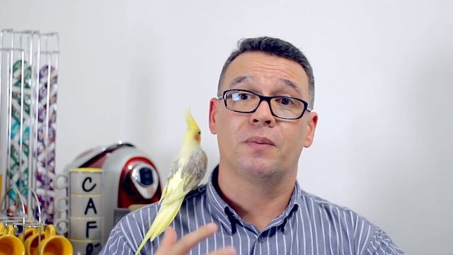 Novas Câmeras Canon PowerShot G5 X Mark II & G7 X Mark III