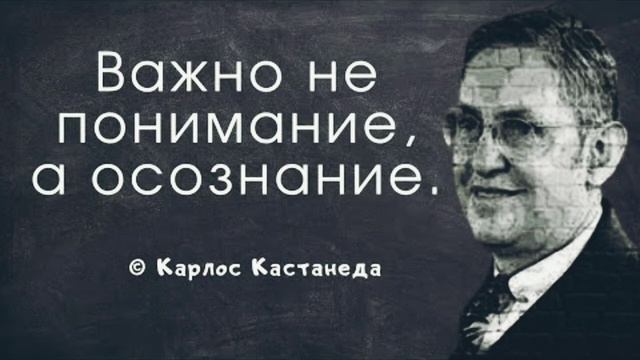 Карлос Сесар Сальвадор Аранья Кастанеда цитаты