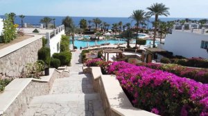 Обзор Hilton Sharm Waterfalls 5* Sharm El Sheikh Хилтон Шарм Вотерфолс Шарм-Эль-Шейх Египет