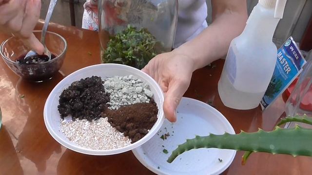 Приготовление органических удобрений для комнатных растений дома. смотреть онлайн