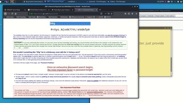 OWASP Juice Shop Solution for Login Amy смотреть онлайн