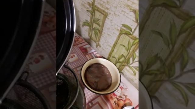 Чайный гриб, как заварить. 1 часть смотреть онлайн