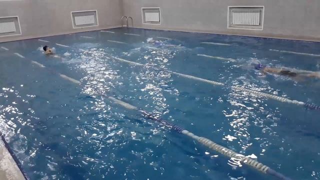 Тренировка по плаванию смотреть онлайн