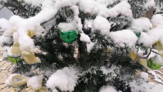 Декабрь балует снежком. Зимняя сказка в СОФИИ! Приглашаем всех желающих! смотреть онлайн