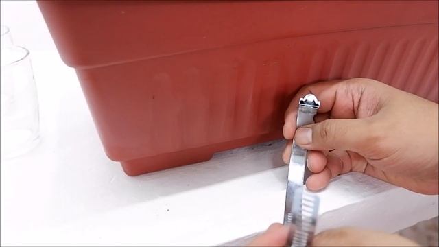 Creative Home Decoration for Sansevieria Trifasciata "Golden Hahnii" Water Garden on Old Tree Branc смотреть онлайн