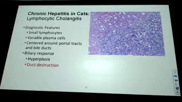 Chronic hepatitis John Cullen 4 6 18 смотреть онлайн