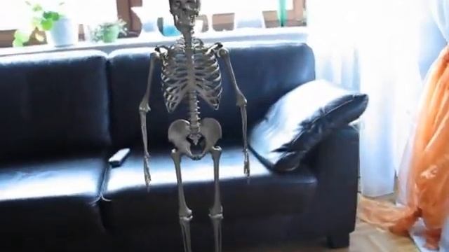 skeleton compositing test1 смотреть онлайн