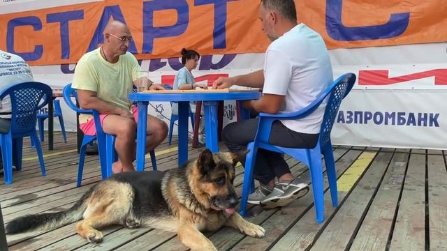 Турнир по нардам "Восточные сладости", 12.08.2023 смотреть онлайн