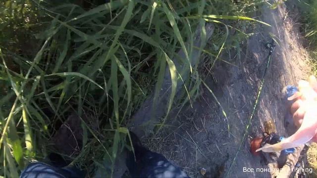 Рыбалка в Омской области. Тюкалинск. Караси на озере Разлив.Все понемногу fishing смотреть онлайн