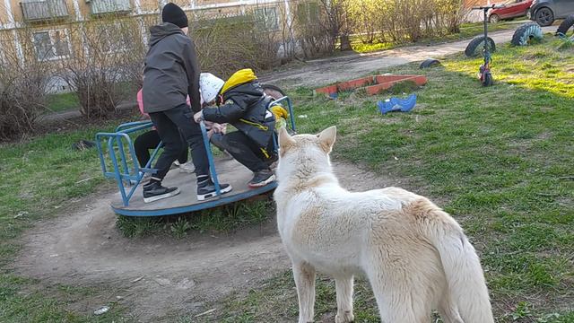 трахунка ах ах ах смотреть онлайн