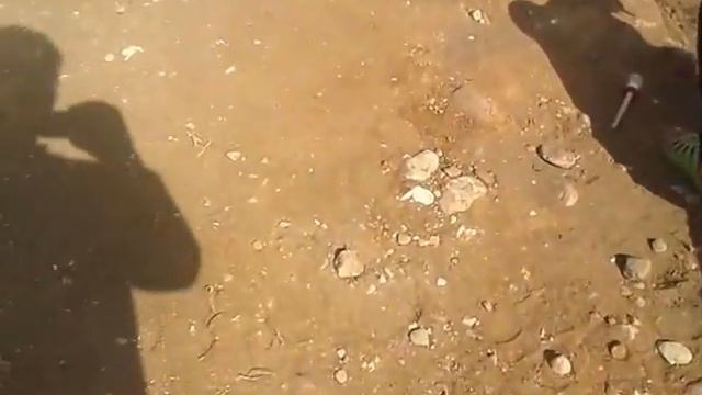 Раскопки в Волковыске смотреть онлайн