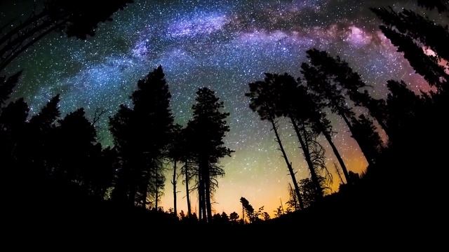 НИКТОФОБИЯ. Что скрывает ТЬМА смотреть онлайн