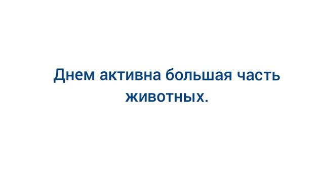 день/ночь в Don't starve together смотреть онлайн