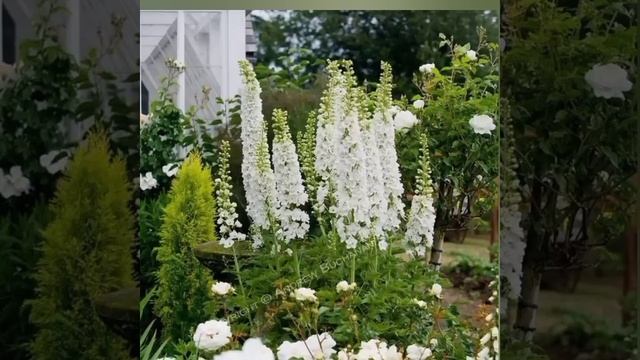 БЛАГОДАРЮ ГОСПОДЬ ЗА ДЕНЬ!!Христианская песня. Ксения Лапицкая. смотреть онлайн