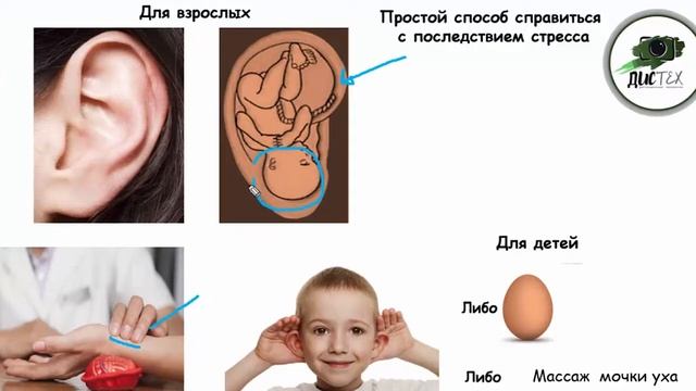 Волшебные миры