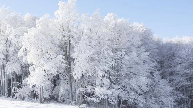 My Memory 〜Winter Sonata マイメモリー piano solo【冬のソナタ】 смотреть онлайн