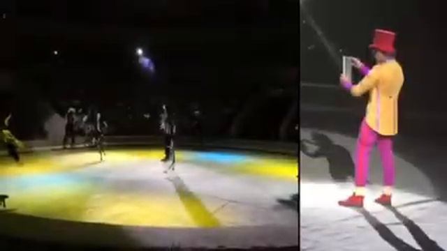 Челябинский цирк! смотреть онлайн