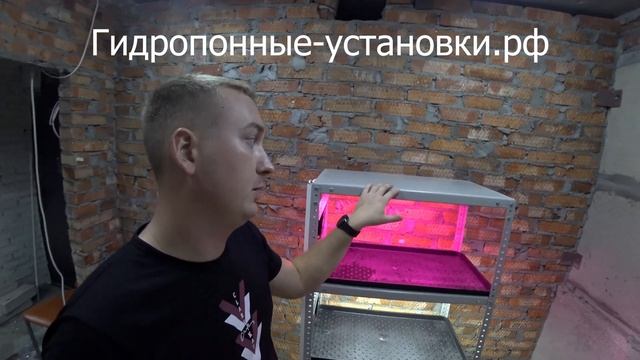 гидропонные-установки.рф смотреть онлайн