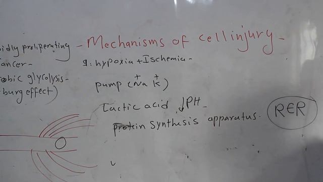 Pathology | Cell Injury | Mechanism of Cell Injury | Lecture 5| پتولوژی | میکانیزم های اسیب حجروی | смотреть онлайн