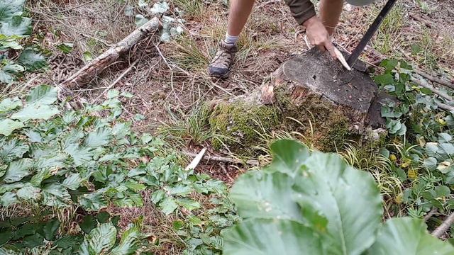 Gerber Gator Machete - TEST смотреть онлайн