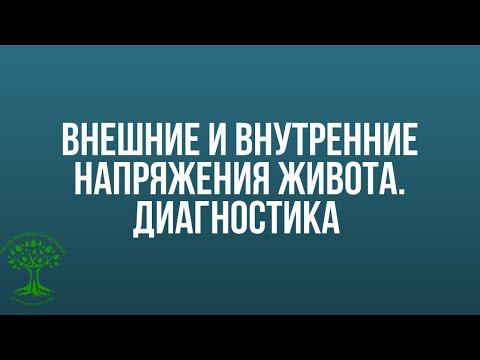 Внешние и внутренние напряжения живота. Диагностика по методу Н.Л.Лоскутовой БФМ смотреть онлайн
