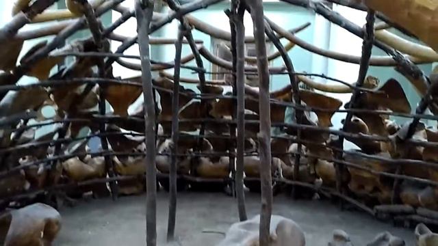 Где Хижина из Костей Мамонта в Киеве? Научно-Природоведческий Музей. смотреть онлайн