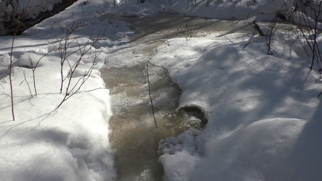 Хинганские Увалы. Часть 1 зимняя От Хингана в Удурчукан смотреть онлайн