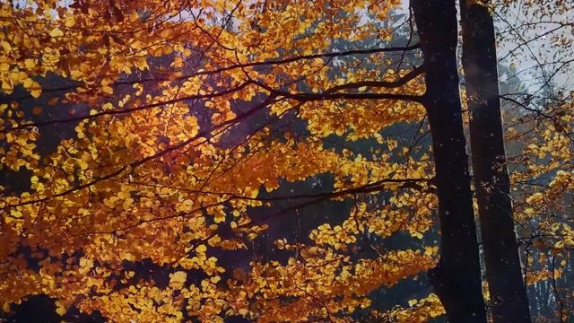 Сбой во Вселенной. 6 признаков, что вы живете не своей жизнью. смотреть онлайн