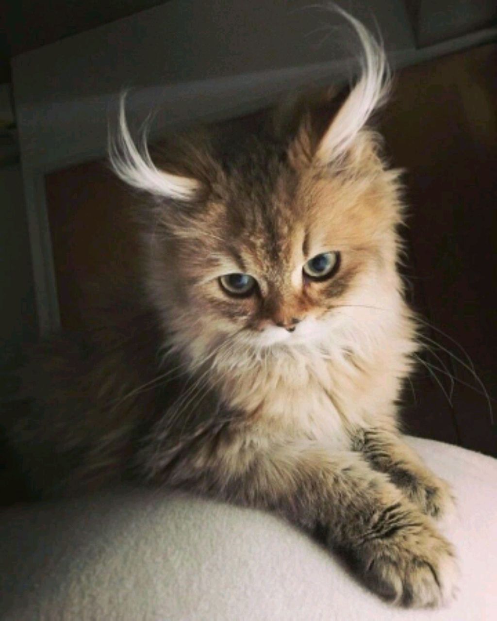 2стрим🙂↕️☹️😔