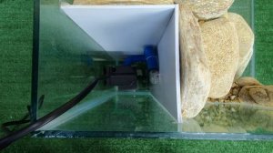 Такой аква террариум сможет сделать каждый. Оформление аквариума для тритона DIY.