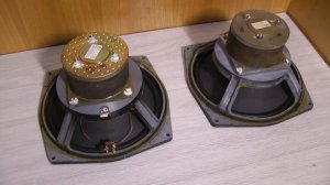 Купил динамики для своих колонок !