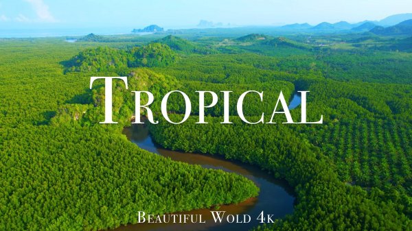 FLYING OVER TROPICAL RAINFOREST (4K UHD) - Scenic Relaxation Film With Calming Music - 4K Videos