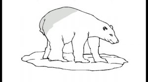 Как нарисовать Белого медведя. Раскраска Белый медведь для детей