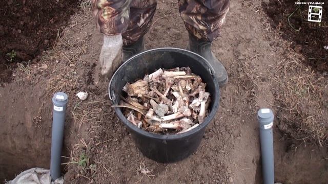 ПРАВИЛЬНАЯ ПОДГОТОВКА ПОСАДОЧНОЙ ЯМЫ ДЛЯ ВИНОГРАДА. ВЫРАЩИВАНИЕ ВИНОГРАДА В ТЕПЛИЦЕ смотреть онлайн