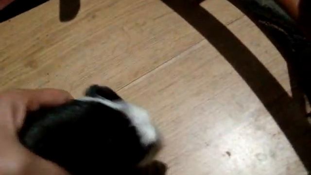 Наружное освещение загородного дома из светодиодов своими руками смотреть онлайн