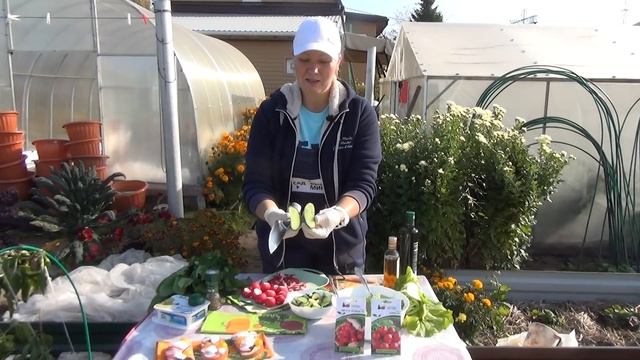 РЕДИС до СНЕГА. Как посадить редис осенью, чтобы быть с урожаем до зимы смотреть онлайн