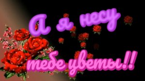 Владимир Ждамиров- А я несу тебе цветы.mp4