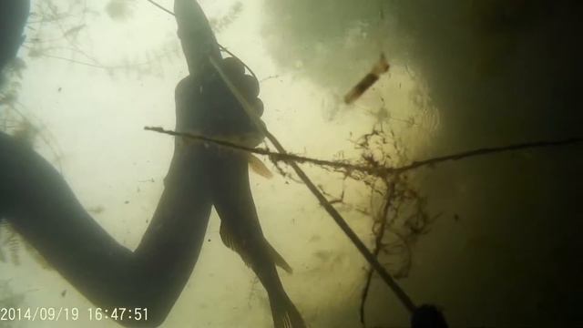 подводная охота на кушуме смотреть онлайн